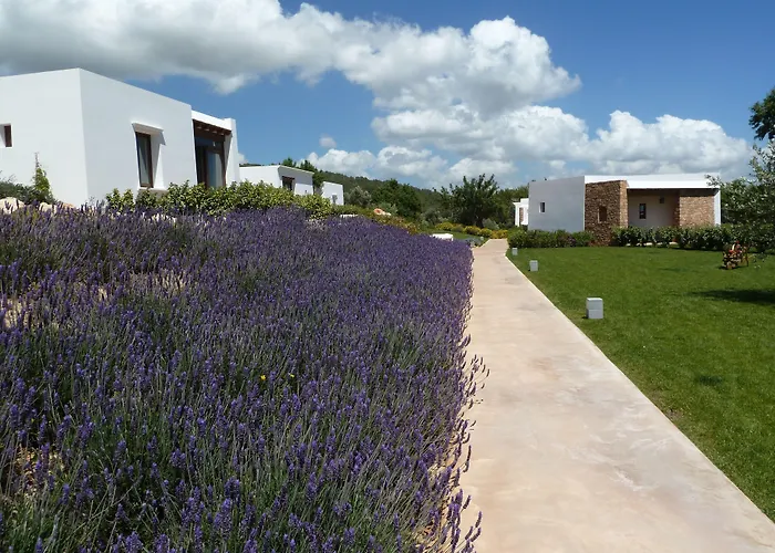 Casa Maca